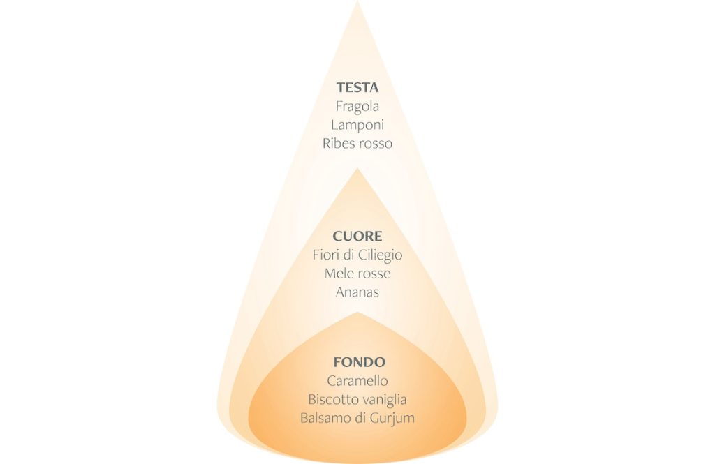 Diffusore bastoncini Arancio Dolce Cannella Nasoterapia - immagine 2